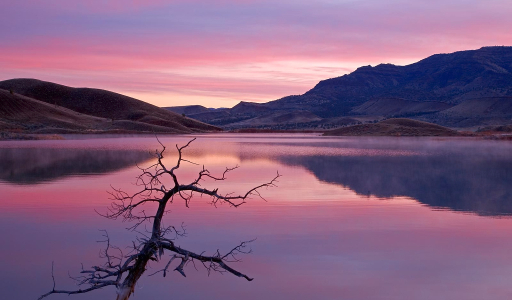 Природа в розовых тонах