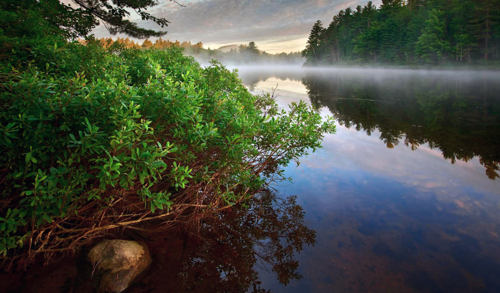 Туман над рекой