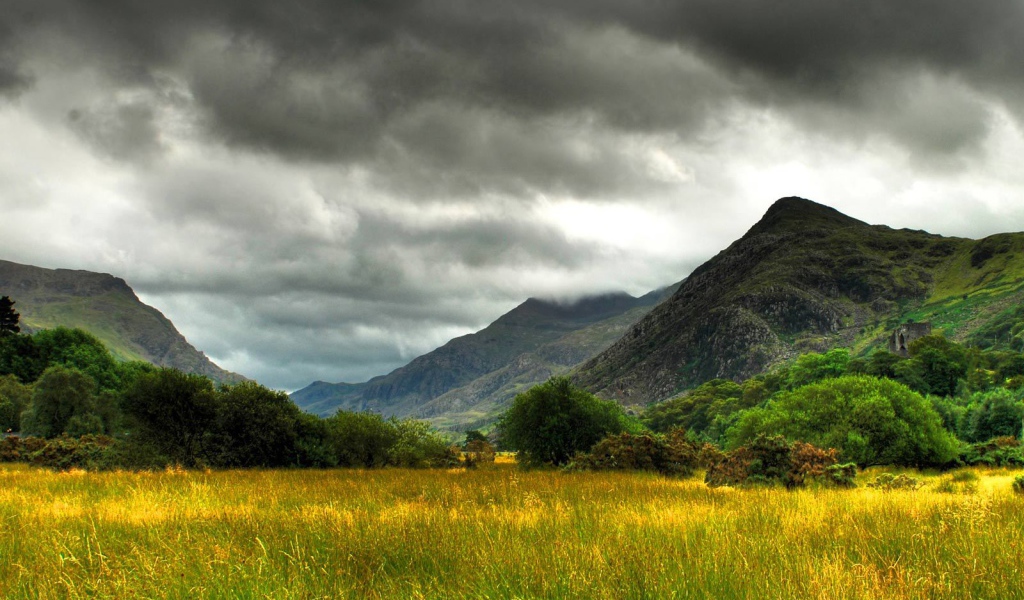 Болото заросшее травой