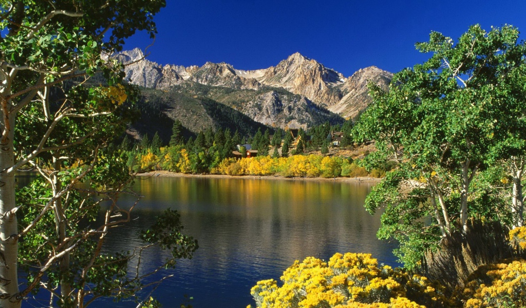 Озеро и деревья