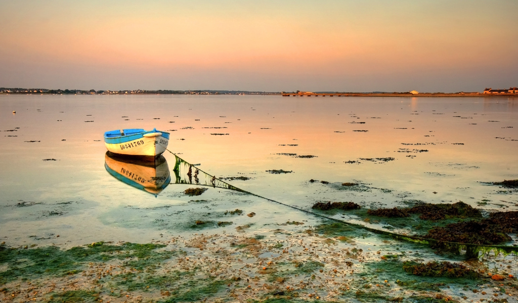 Озеро заросло водорослями