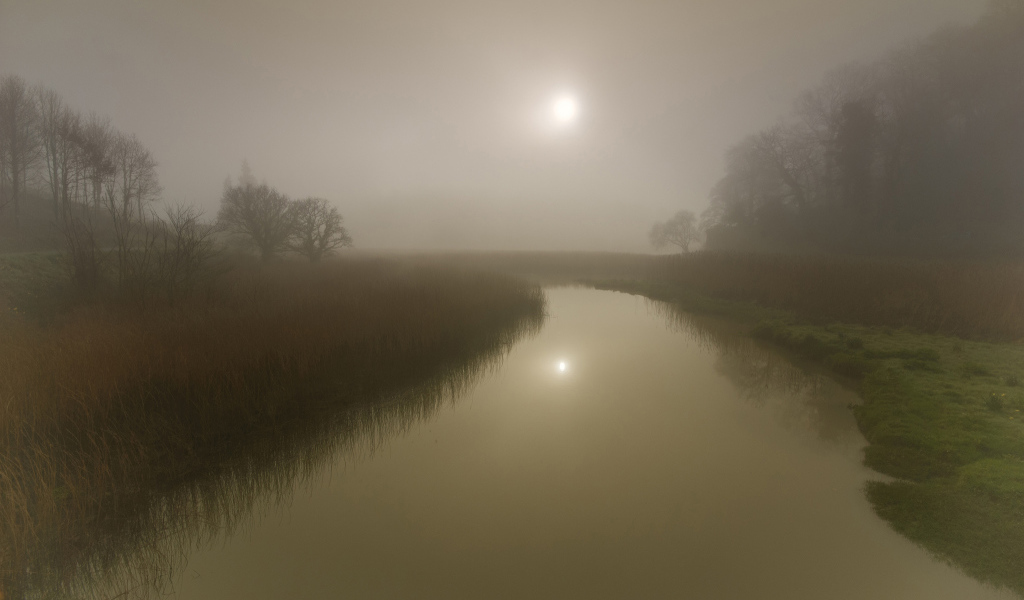 Солнце светит сквозь туман