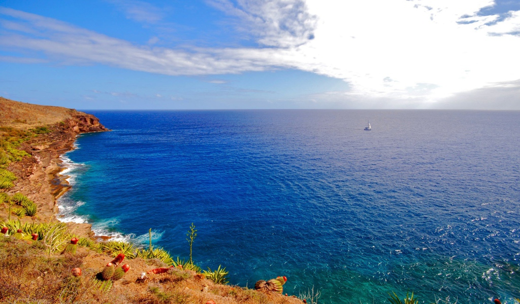 Одиночество в море