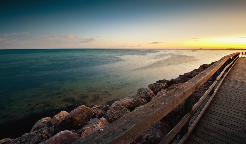 Пляж моллюсков