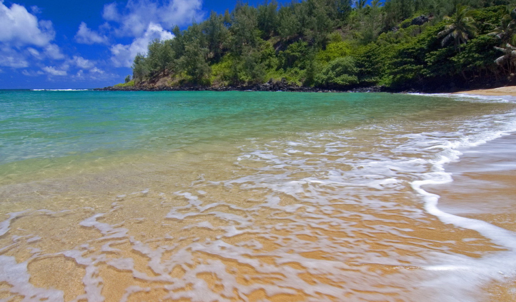 Волны прилива