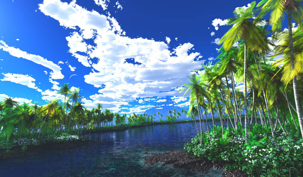 Лагуна заросшая пальмами