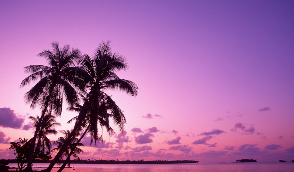 Сиреневый вечер