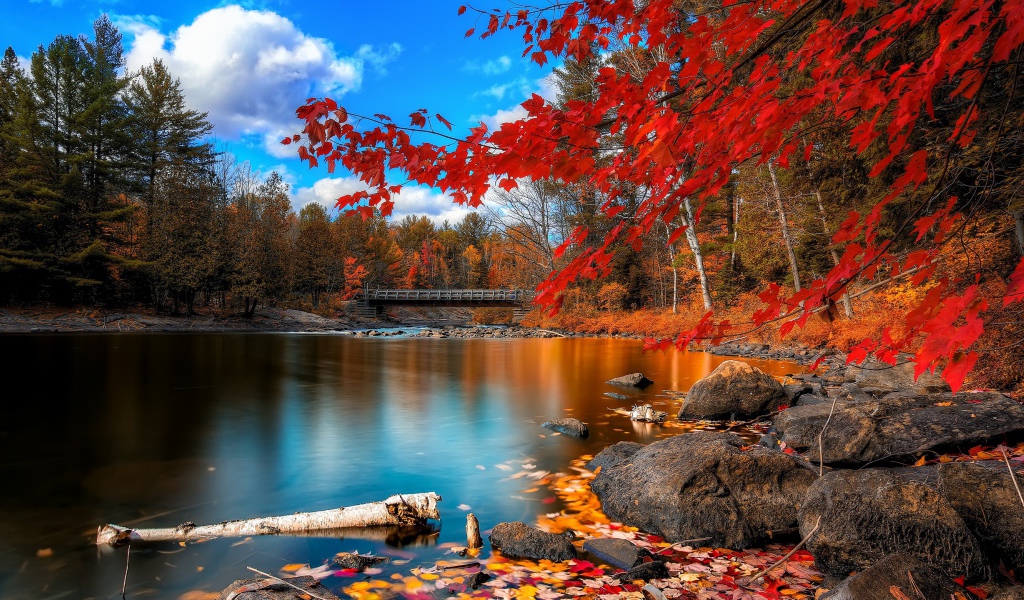 Падение листвы