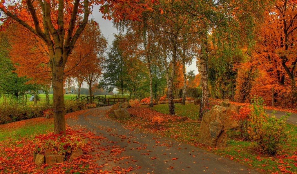 Дорога по осеннему лесу