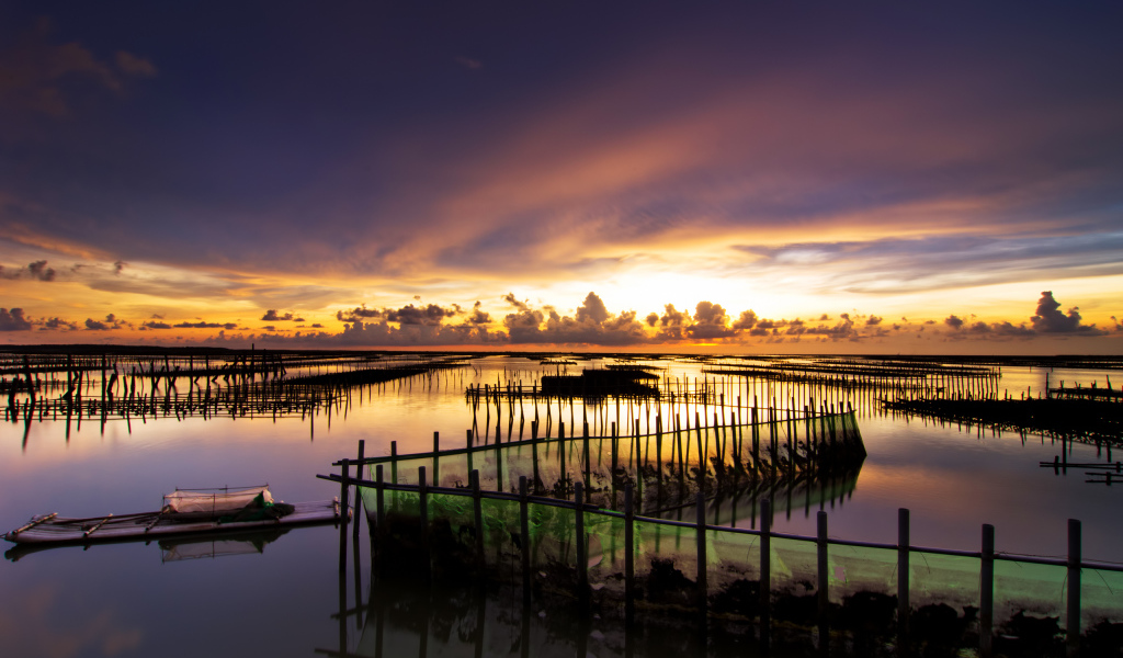 Рыбная ферма летом