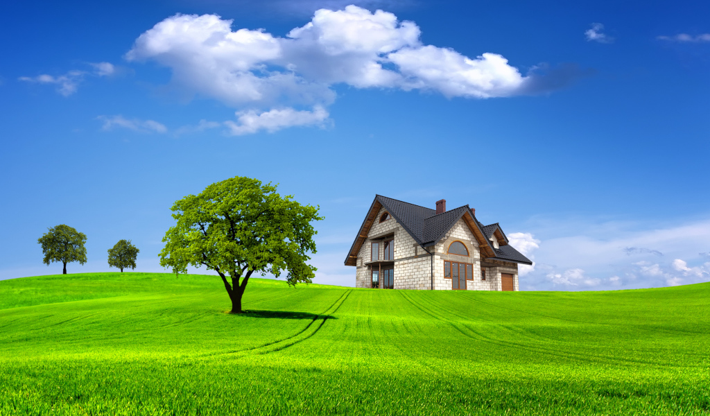 Одинокий дом среди летнего поля