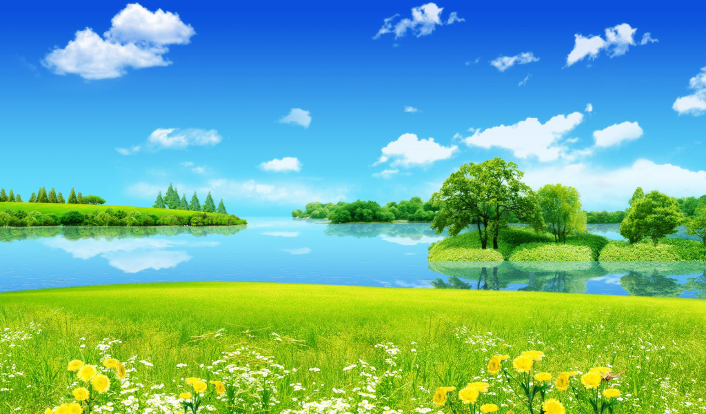 Летняя лужайка