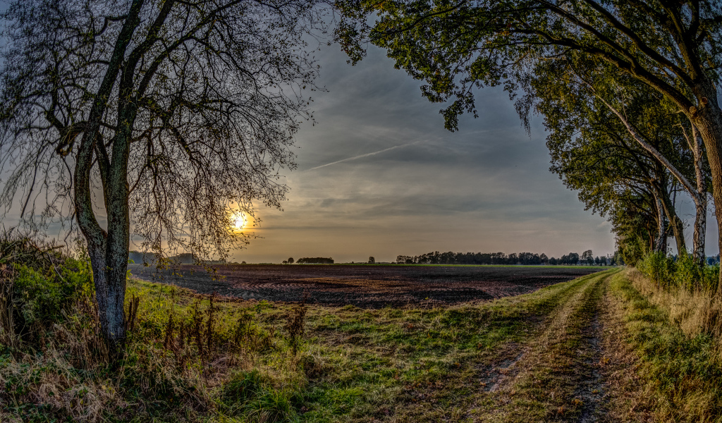 Убранное поле перед закатом