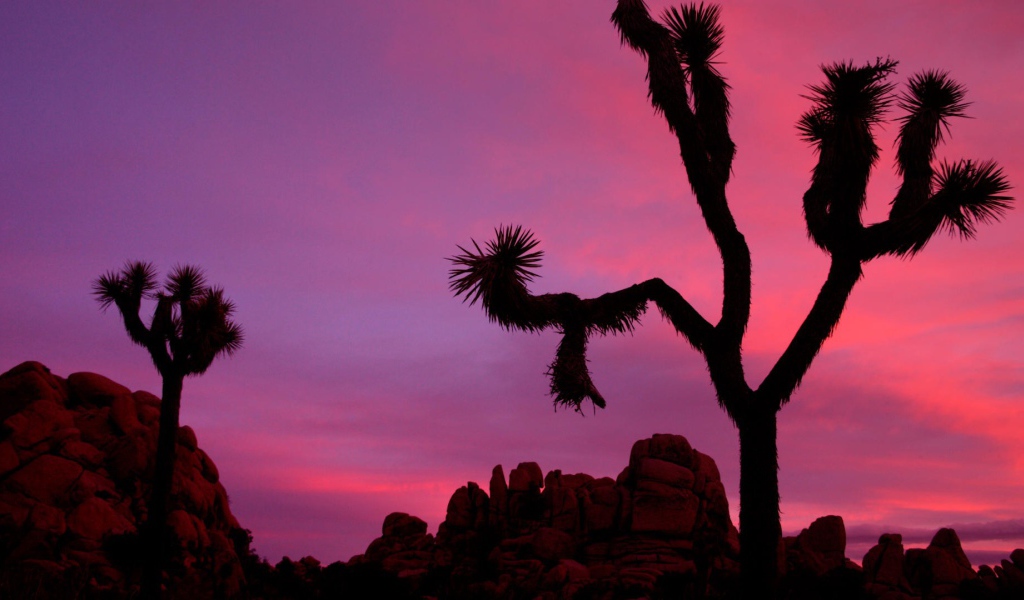 Национальный парк Калифорнии закат солнца