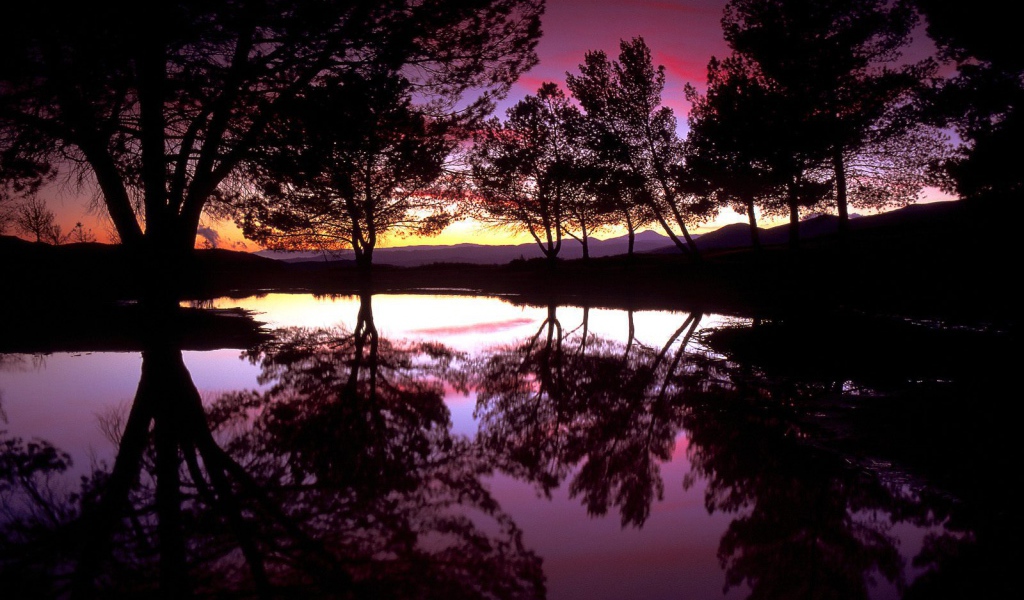 Розовое небо над озером