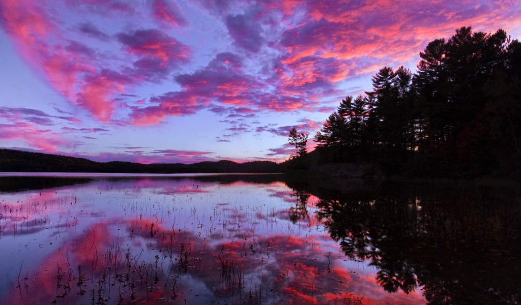 Розовый закат над озером