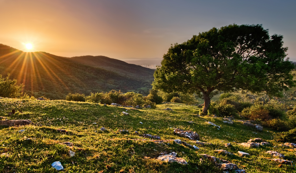 Закат в заповеднике