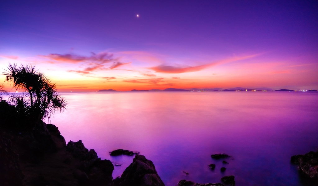 Розовый закат 