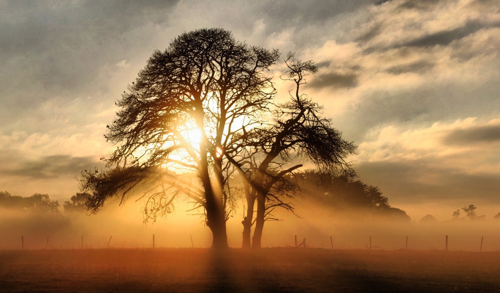 Закат на поле
