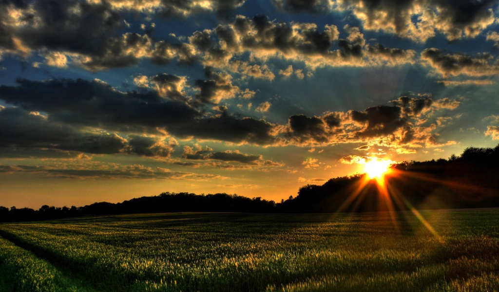 Закат на зеленом поле