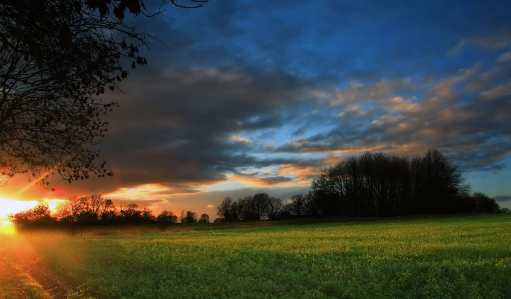 Закат на зеленом поле