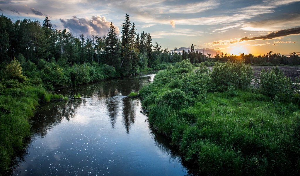 Закат над лесной рекой