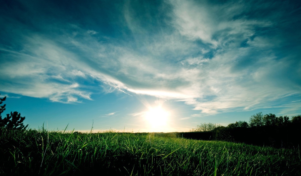 Закат над полем