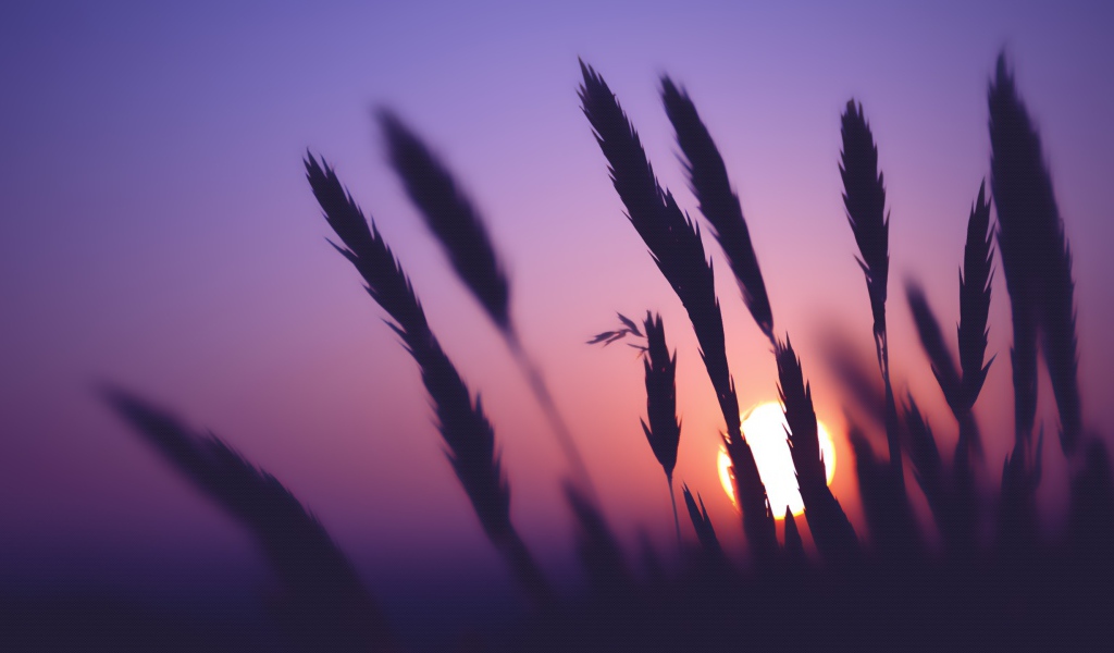 Время заката