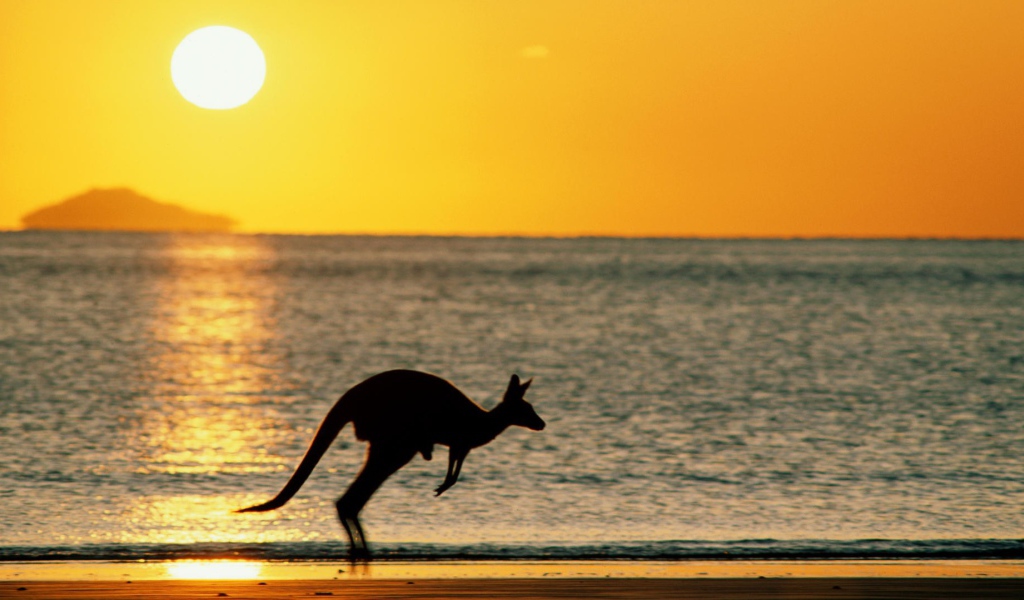 Закат с кенгуру