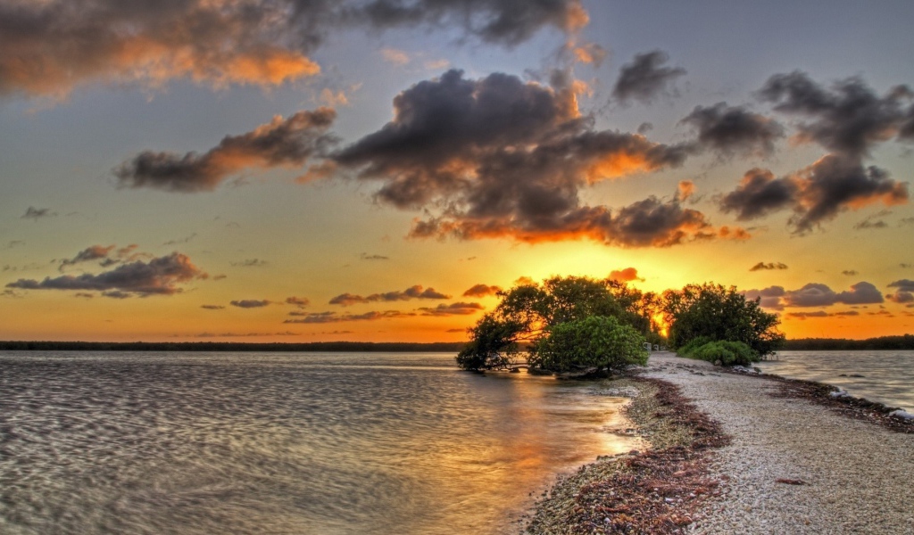 Закат над озером за деревом
