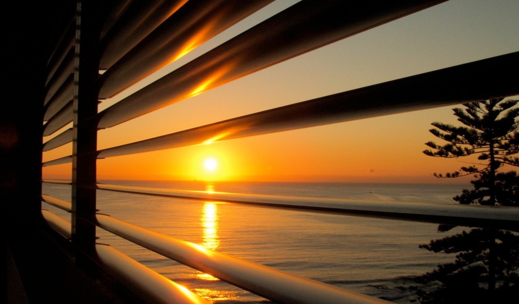 Вид на закат через жалюзи