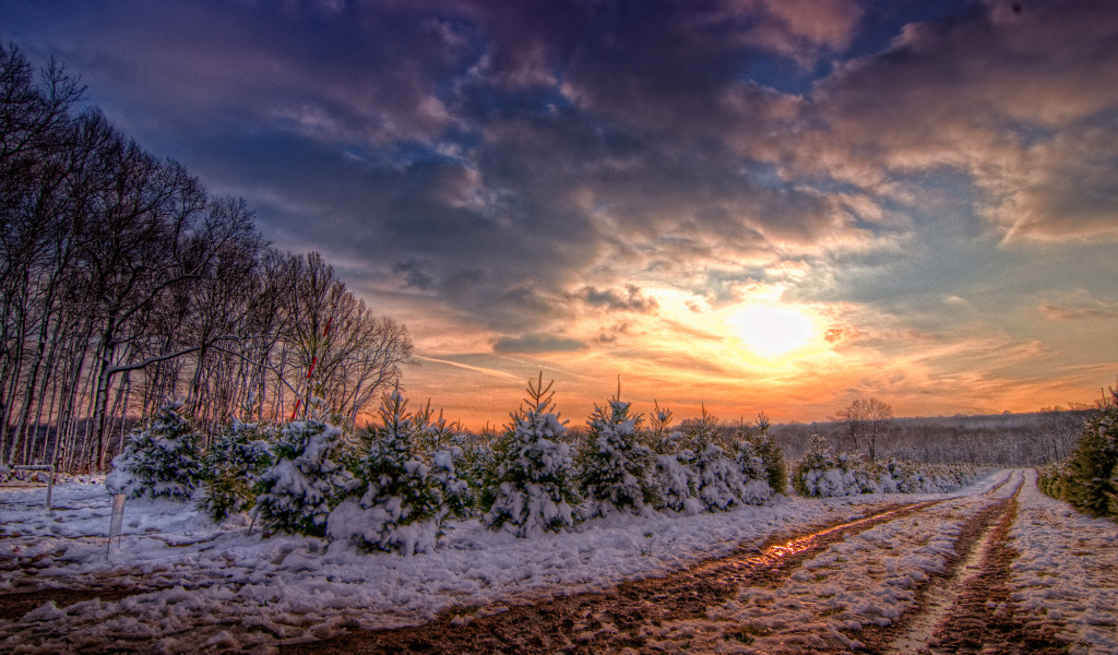 Зимняя дорога в закат