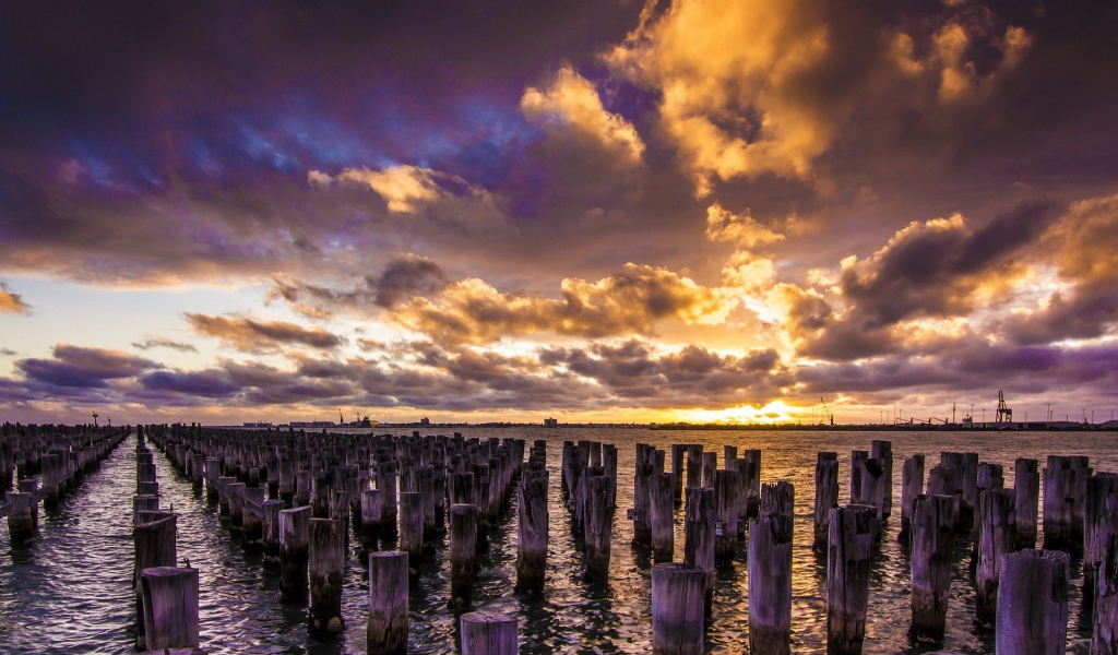 Деревянные сваи в воде