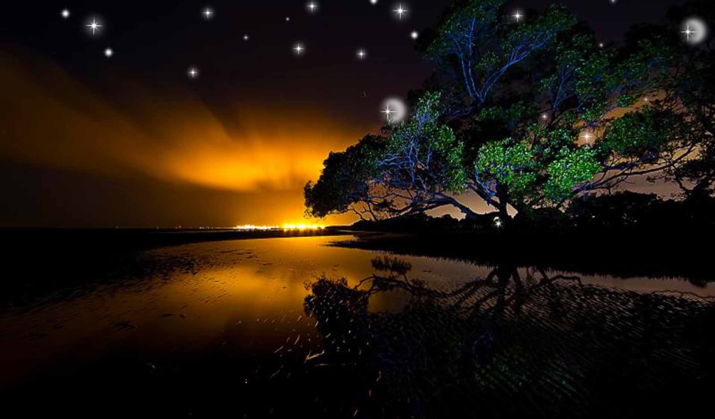 Звезды на ночном небе