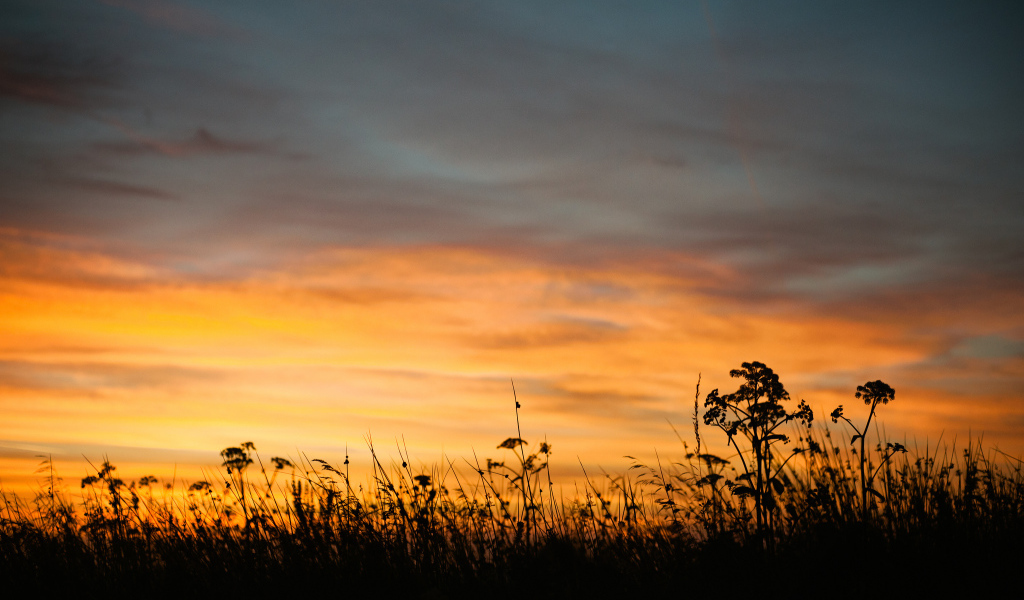 Летний закат