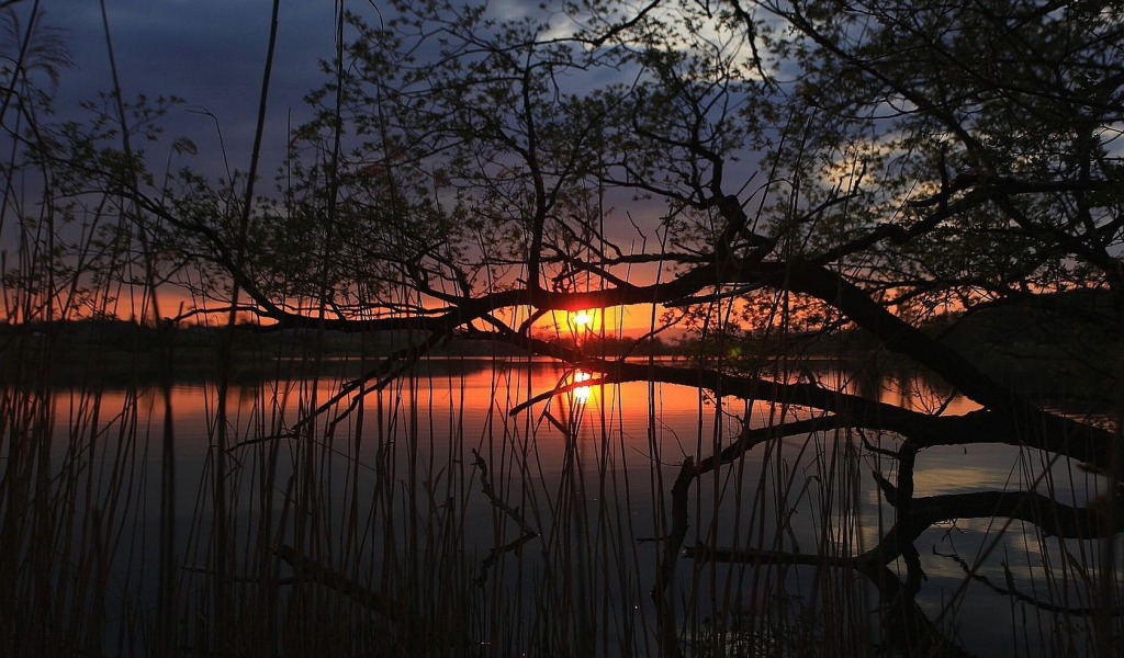 Закат на тихом озере