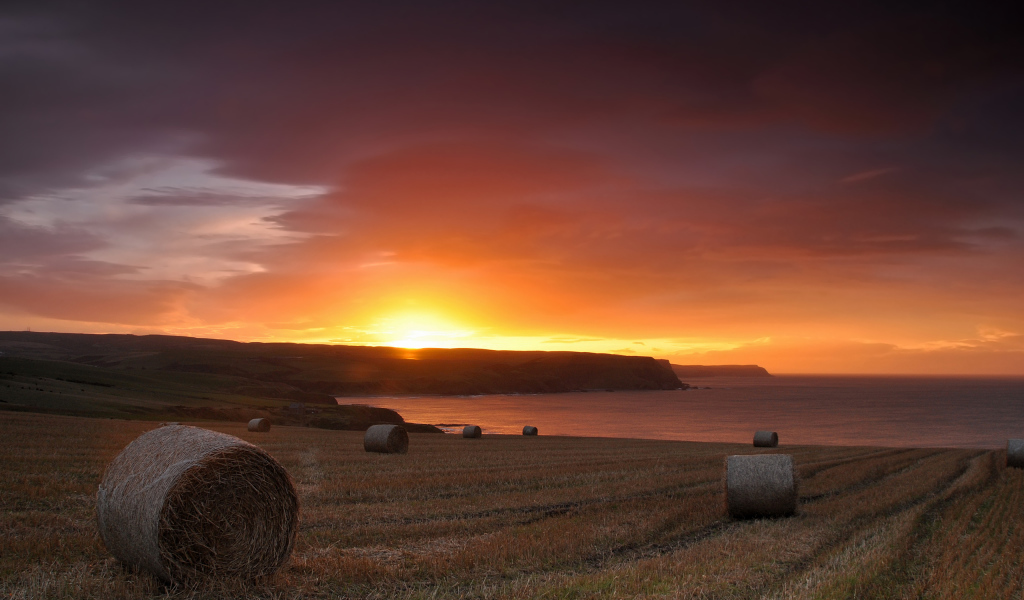 Закат на скошенном поле