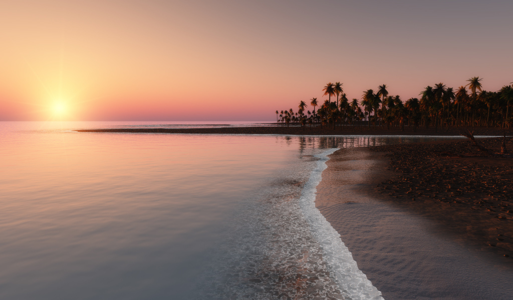 	   Sunset on the tropical coast