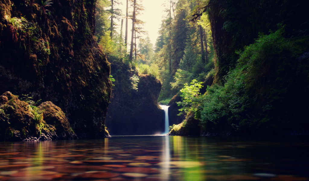 Разноцветные блики на воде