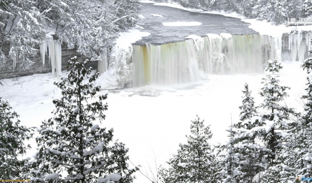 Замерзший водопад среди деревьев
