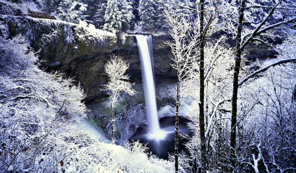Замерзший водопад в белом лесу