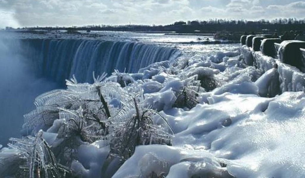 Обледеневшие растения на фоне замерзшего водопада