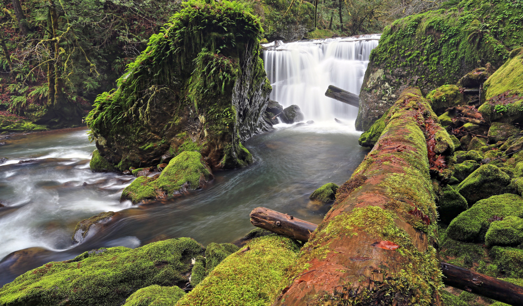 Маленький, красивый водопад в США