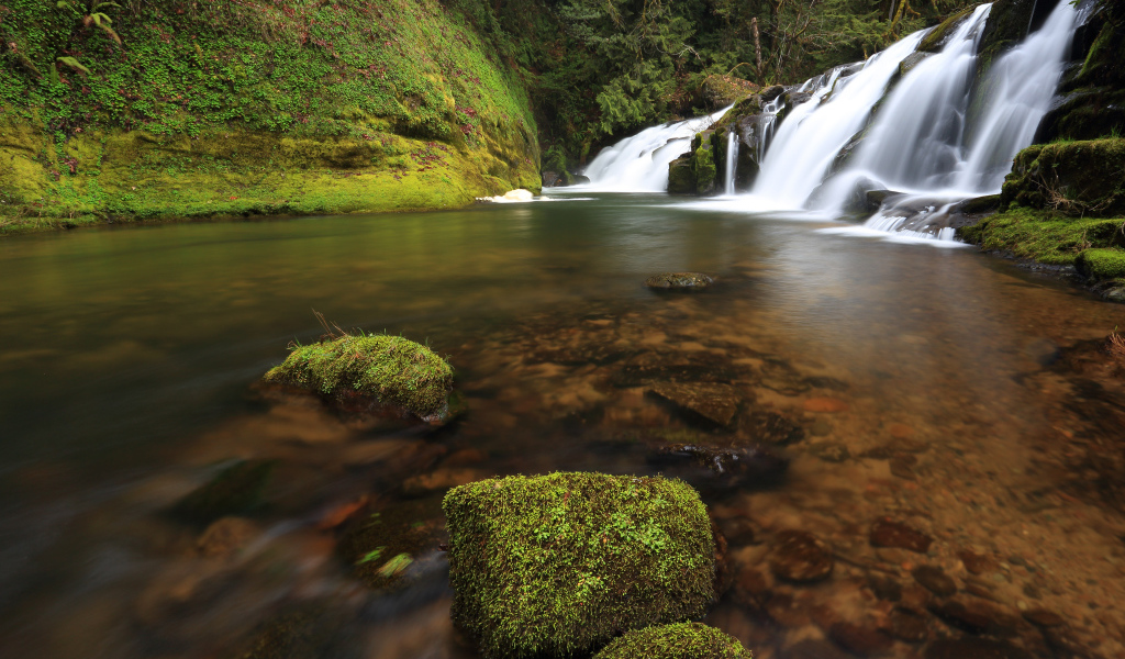 Маленькие водопады в штате Орегон, США