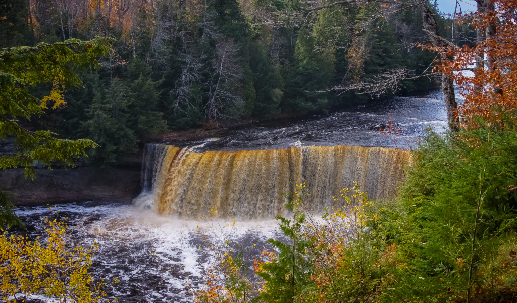 Коварный водопад среди леса
