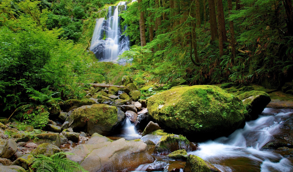 Водопад в густом лесу