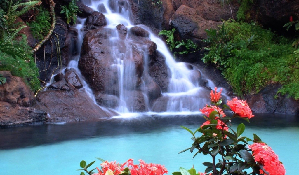 Красные цветы на фоне водопада