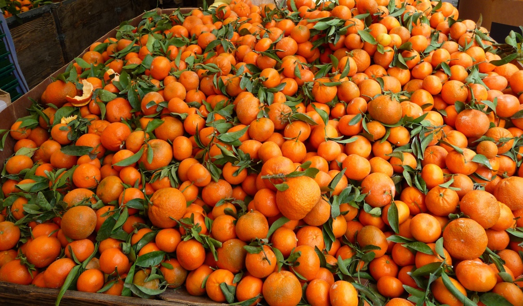 Мандариновый фон