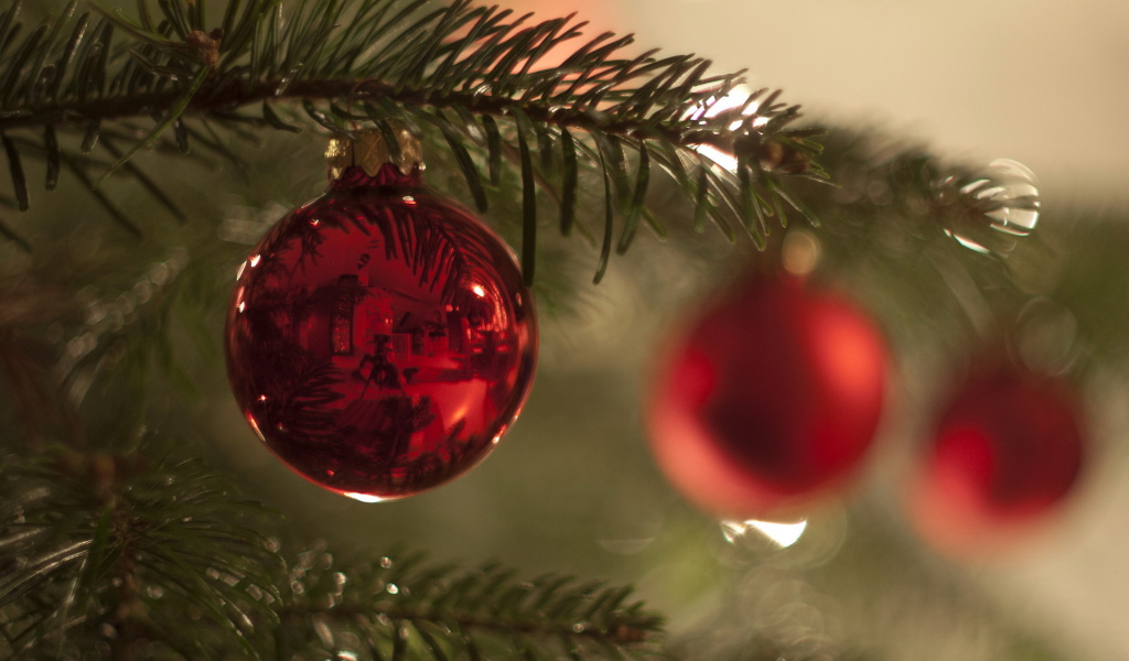 Красный шар на ветке