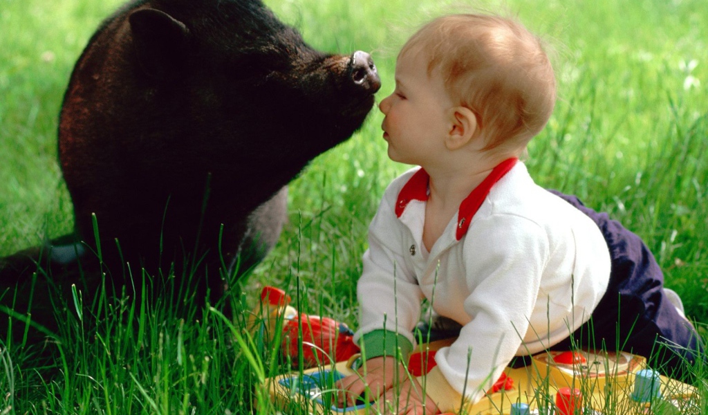 Ребенок и свинья